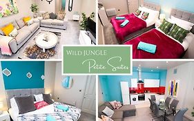 Wild Jungle 2 Bedroom Ground Flat Petite Suites